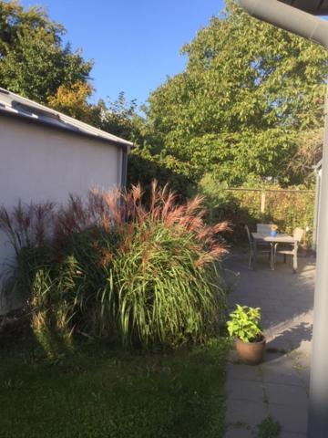 The Garden House Apartment Lund Exterior photo
